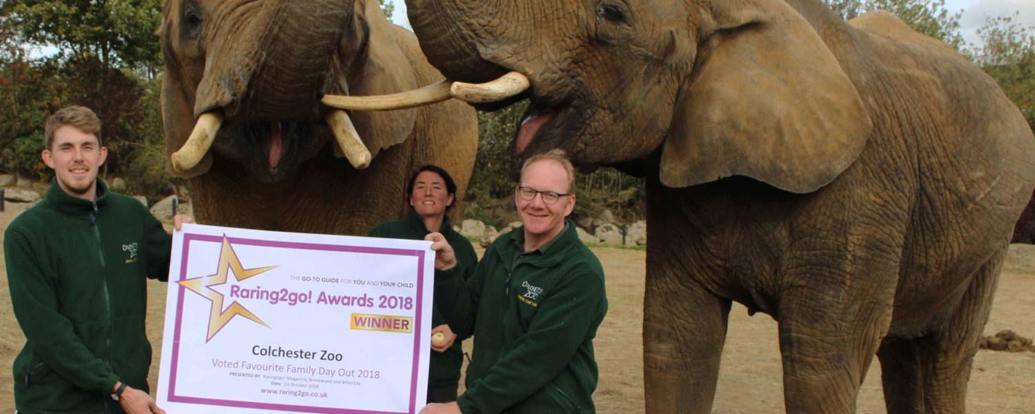 Colchester Zoo WIN Raring to go award!