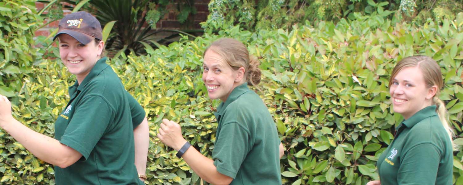 Volunteering at Colchester Zoo